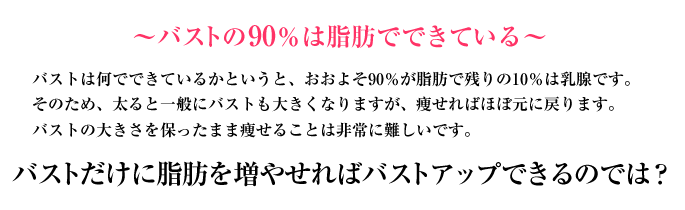 バストの90％は脂肪でできている