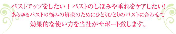 バストアップをしたい！バストのしぼみや垂れをケアしたい！あらゆるバストの悩みの解決のためにひとりひとりのバストに合わせて効果的な使い方を当社がサポート致します。